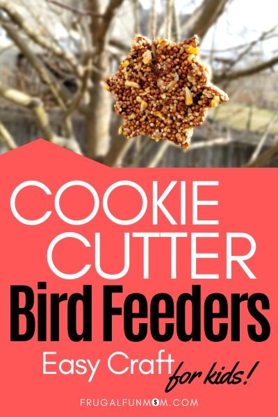 Cookie Cutter Bird Feeders | Frugal Fun Mom