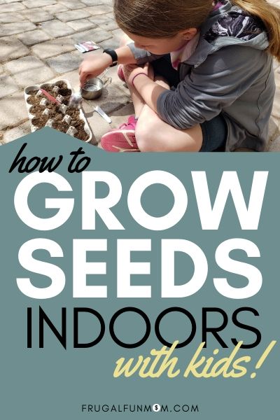 How To Grow Seeds Indoors With Kids! | Frugal Fun Mom