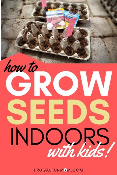 Grow Seeds Indoors With Kids | Frugal Fun Mom