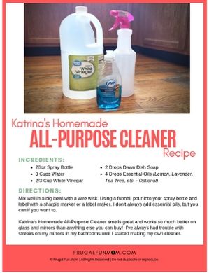 Homemade All-Purpose Cleaner | Frugal Fun Mom