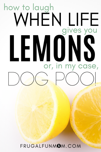 How To Laugh When Life Gives You Lemons, Or In My Case - Dog Poo | Frugal Fun Mom