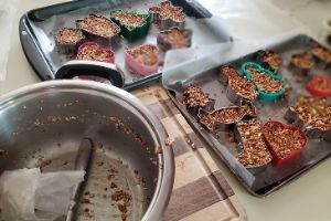 Cookie Cutter Bird Feeders - Easy Craft For Kids | Frugal Fun Mom